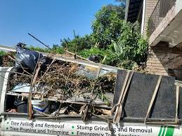 Best Yard Waste Removal  in Cortland West, NY